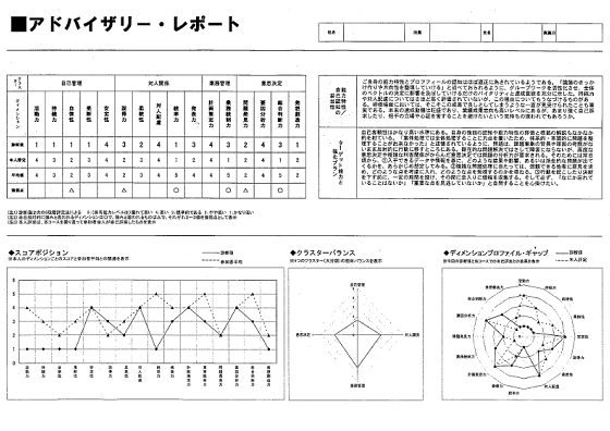 アドバイザリーレポート