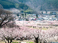 千曲市の風景