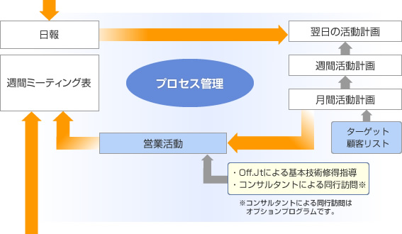 チーム営業によるマネジメント体制構築