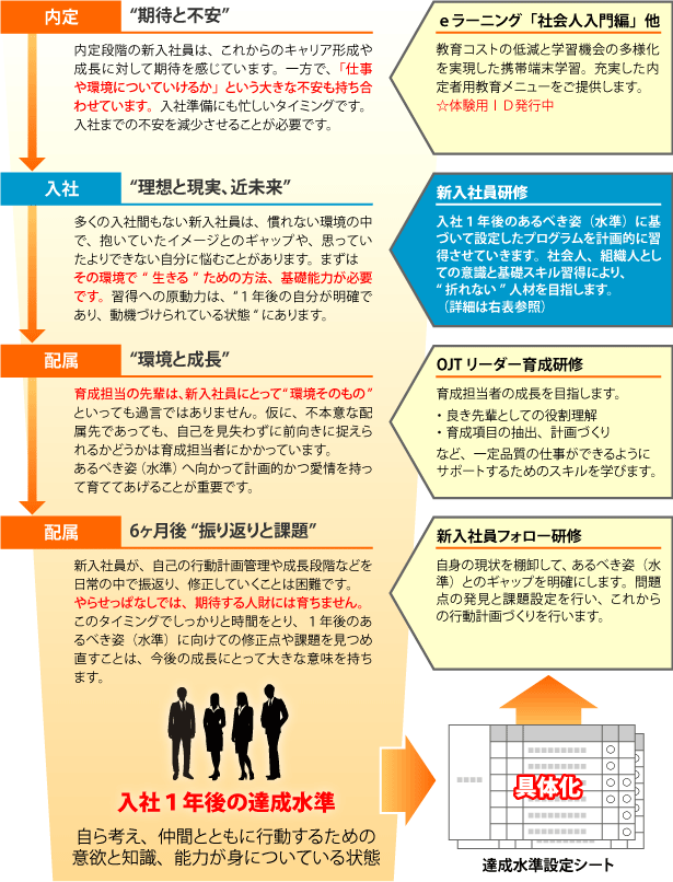 新入社員の段階的な教育環境