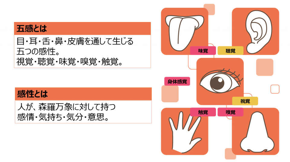 jissenshinrigaku_column5